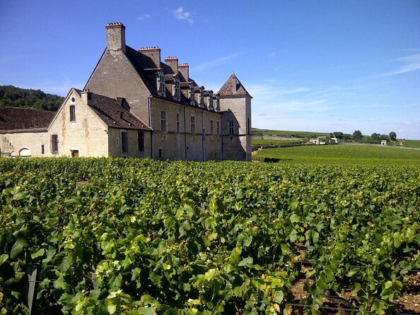 Full-Day Private Tour, 6 Premier and Grand Cru Wines, The Best of Burgundy - Activities and Experiences