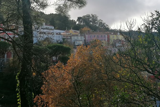 Full-Day Private Tour of Sintra and Cascais - Included Amenities