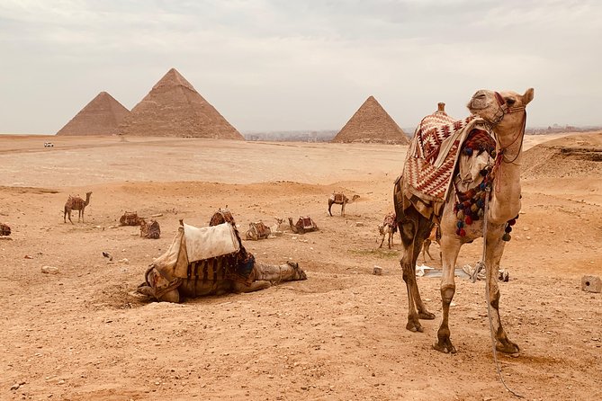 Full Day Private Tour to Giza Pyramids, Sphinx, Egyptian Museum and Lunch - Tour Inclusions