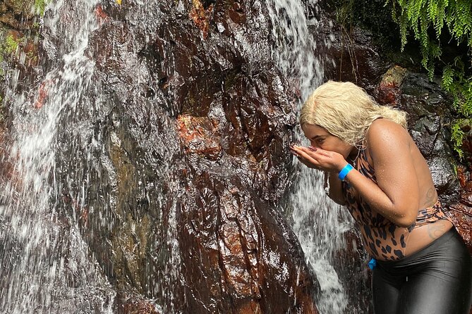 Full-Day Private Tour to Tinajas Waterfalls in El Yunque - Inclusions and Logistics