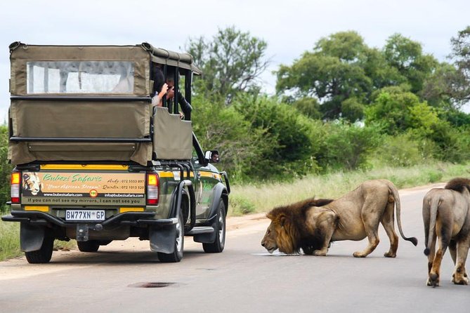 Full Day Safari - Kruger National Park - Sighting Africas Iconic Wildlife