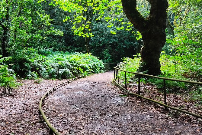 Full-Day Self Guided Hike in Caldeirão Verde Levada - Physical Requirements