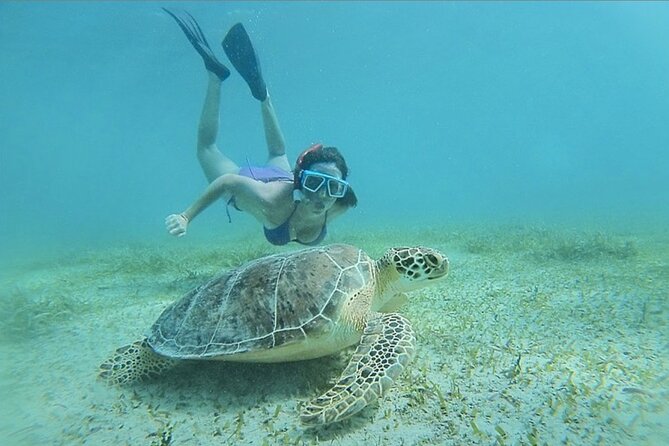 Full-Day Snorkeling Tour to Culebra Island With Lunch - Restrictions and Requirements