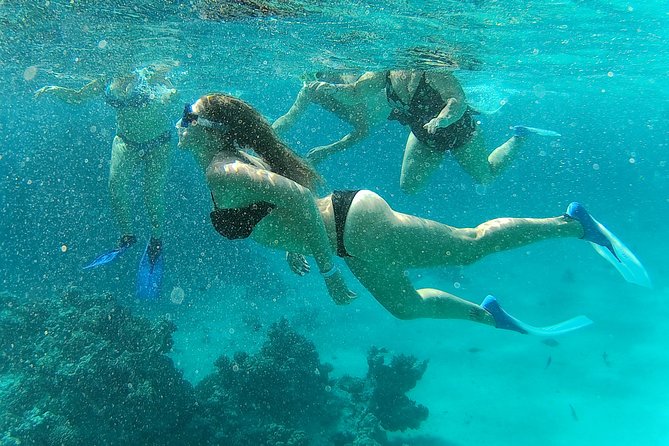 Full-Day Snorkeling With Dolphins in Hurghada With Lunch - Included Activities