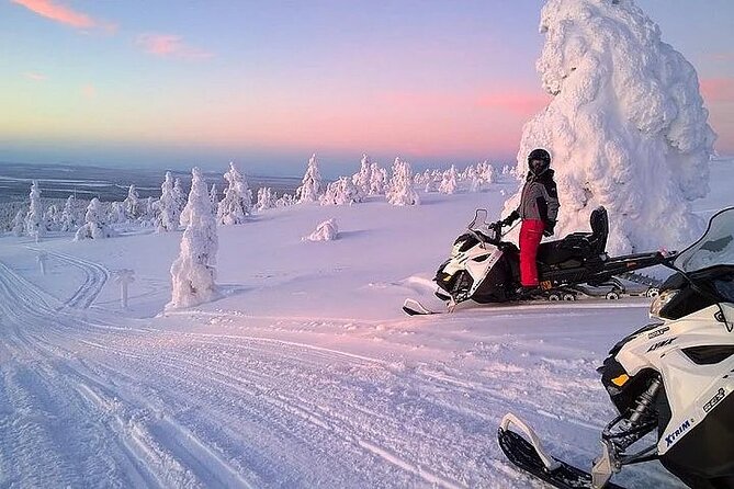 Full Day Snowmobile Safari - Discovering Laplands Snowy Landscapes