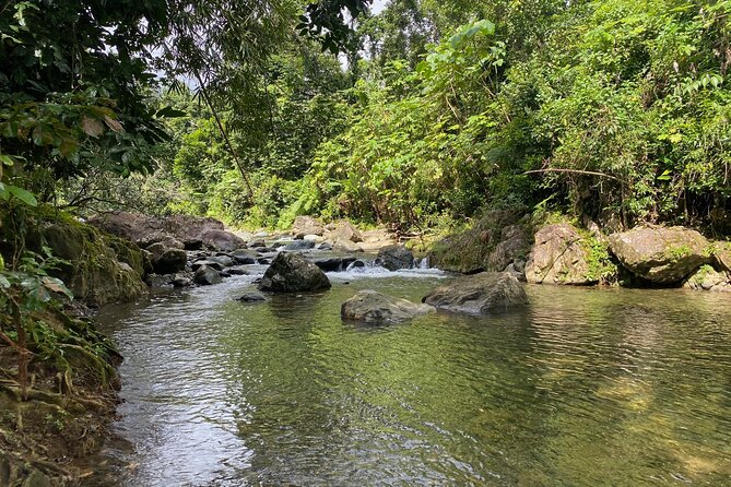 Full-Day Tinajas Hiking to El Yunque Rainforest With Transport - Additional Considerations