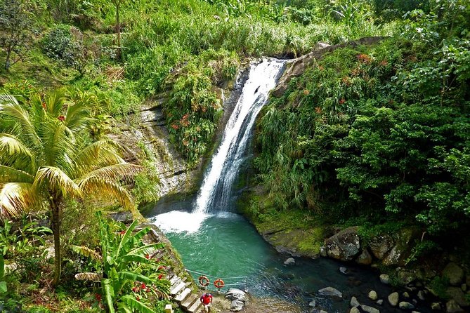 Full-Day Tour: Concord Waterfall, Chocolate Factory, Rum Distillery, Grand Etang - Professional Local Guide Insights