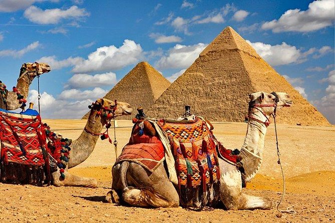 Full Day Tour to Pyramids of Giza, Saqqara Step Pyramids & Sound and Light Show - Pyramids of Giza