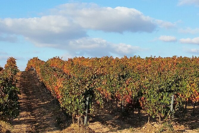 Full Rioja Wine Tour With Lunch From San Sebastian Private Tour - Itinerary