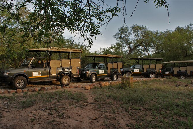 Fullday Gamedrives in Kruger National Park From Marlothpark - Pickup Locations