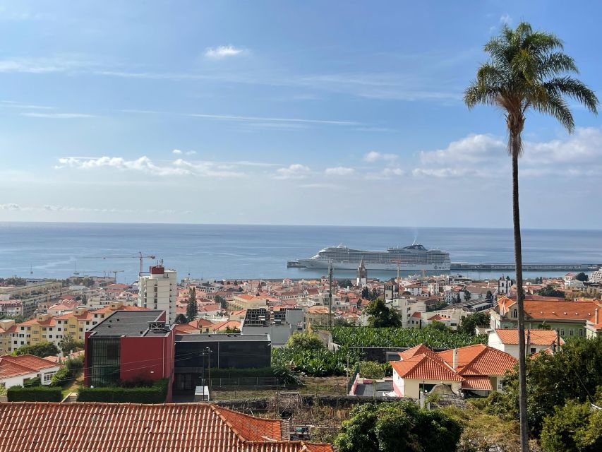 Funchal : Seaside 2-hours Guided Tuk Tuk Tour - Tour Highlights