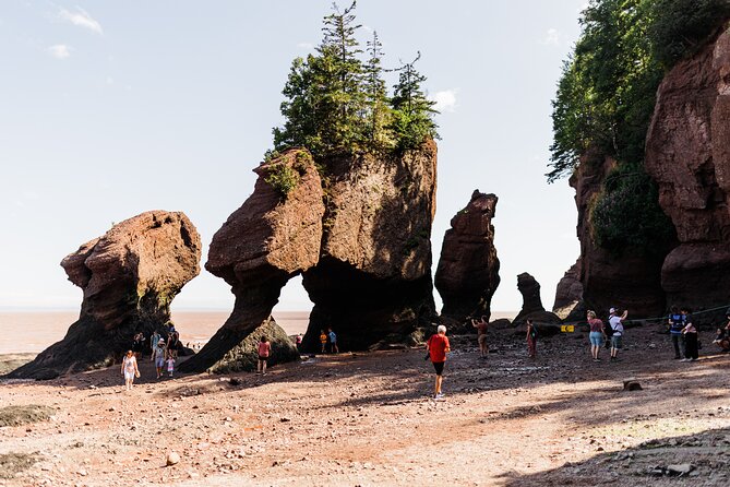 Fundy Glamping Getaway for Two - Accommodation and Gratuities