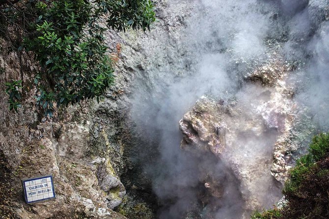 Furnas and Terra Nostra Botanic Park Guided Tour W/ Hotsprings - Requirements and Considerations