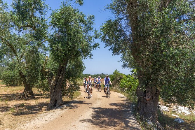 Gallipoli Inland and Surroundings Full-Day Bike Tour - Conquering and Settlement