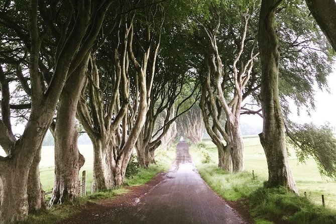 Game of Thrones Private Filming Locations Tour - Highlights