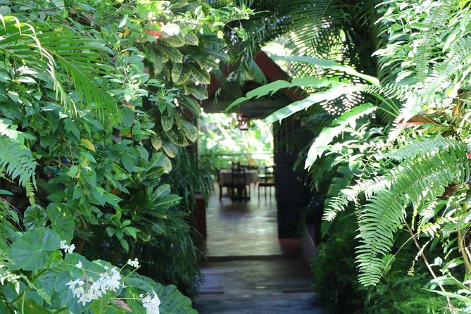 Garden Delight Full-Day Tour in Barbados - Flower Forest Exploration