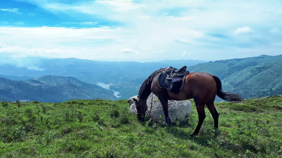 Gerês Braga: Horseback Ride in Peneda-Gerês National Park - Guided Tour of Stunning Landscapes