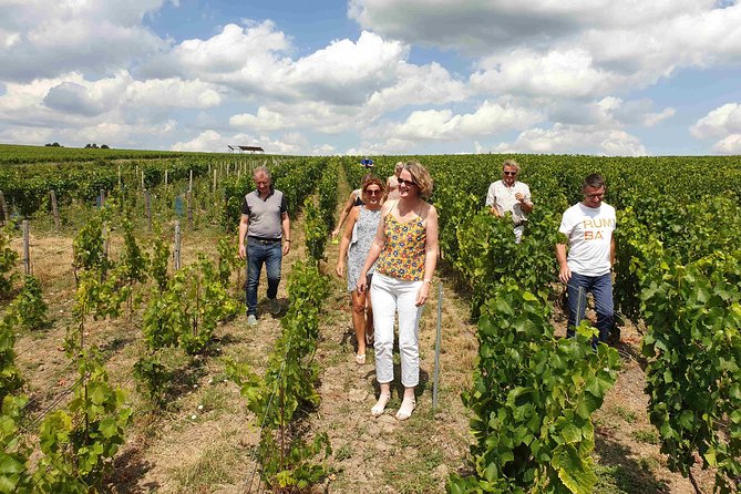 Gourmet Walk in the Heart of the Vineyards With Champagne Tasting Near Epernay - Independent Winery Visits