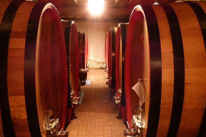 Gourmet Wine Tour San Gimignano Wine Tasting - San Quirico Winery - Tasting Experience Inclusions