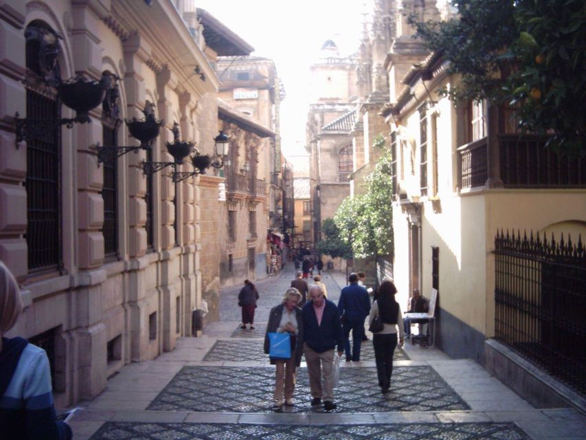 Granada (Albaicin) Private Guided Walking Tour - Exploring Neolithic Roots