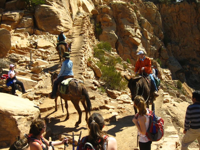 Grand Canyon Full-Day Hike From Sedona or Flagstaff - Highlights of the Hike