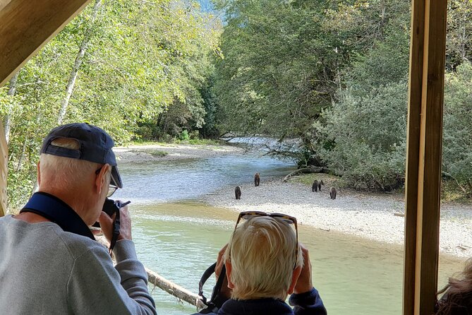 Great Bears of Bute: Grizzly Bear Viewing & Indigenous Cultural Tour - Exploring the Wilderness of Bute