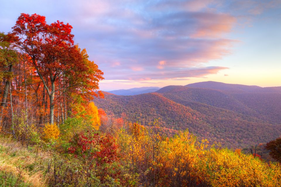 Great Smoky & Shenandoah National Park Driving Audio Tour - Tour Experience and Highlights