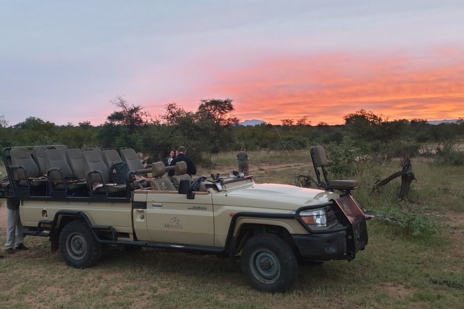 Greater Kruger National Park 4 Day Safari at a Private Game Lodge - Safari Game Drives