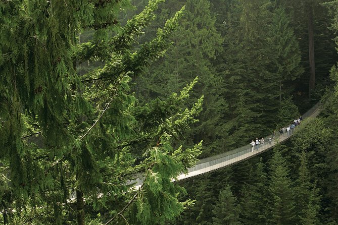 Grouse Mountain & Capilano Suspension Bridge Park - Tour Details