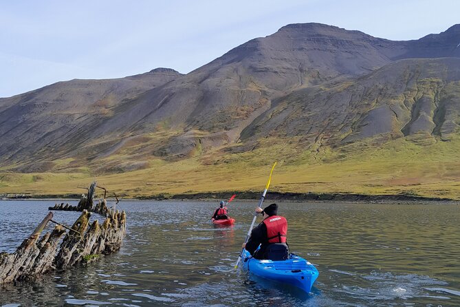 Guided Kayak Tour in Siglufjörður / Siglufjordur. - Key Tour Details