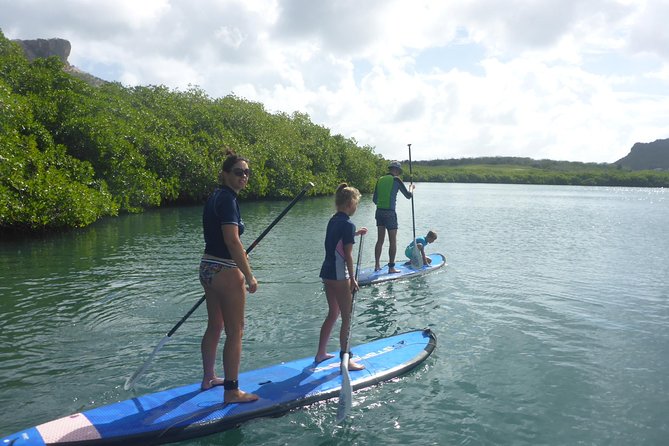 Guided Paddleboarding (Sup) Mangrove ECO Tour for Beginners - Mangrove Ecosystem Exploration