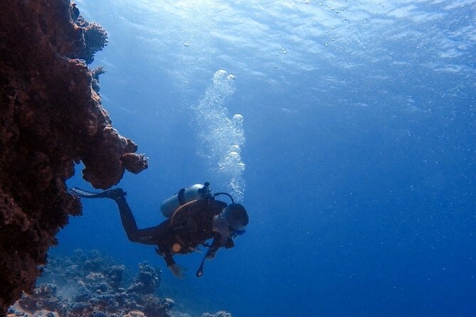 Guided Scuba Diving Adventure in Aqaba - Meeting and Pickup Details