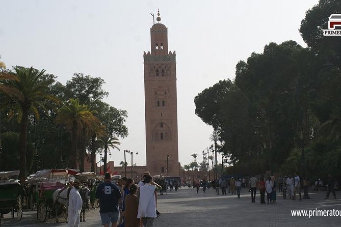 Guided Shared Day Trip Agadir to Marrakech Medina & Souks - Logistics and Inclusions