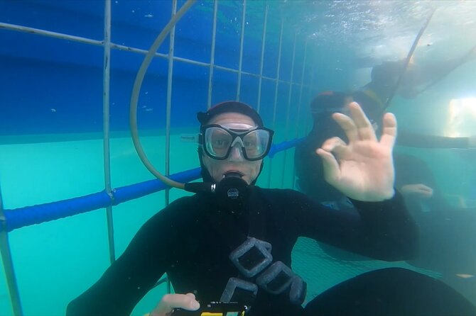 Guided Shark Cage Diving With Hookah Air Supply in Gansbaai - Inclusions in the Package