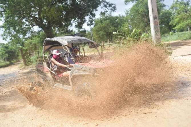 Guided Tour in Polaris (4X4) by Macao Beach, Taino Cave and Typical House - Included Experiences