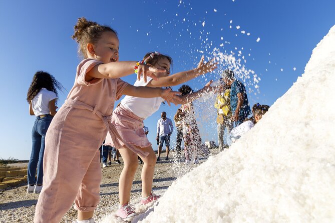 Guided Tour of the Salt Pans of Trapani and the Salt Museum - Inclusions and Highlights