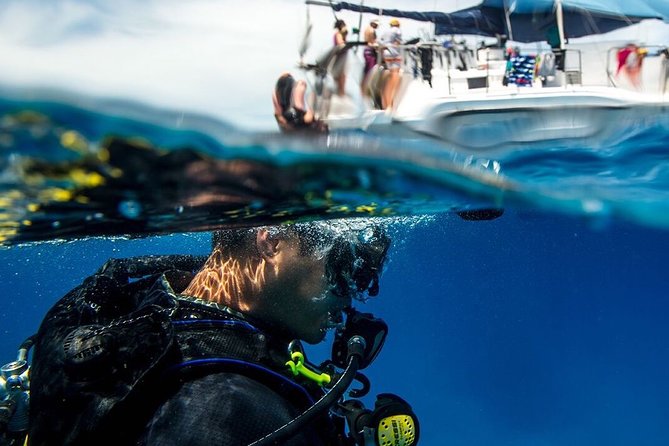 Half-Day Aruba Intro Diving Course for Beginners - Meeting Point and Location