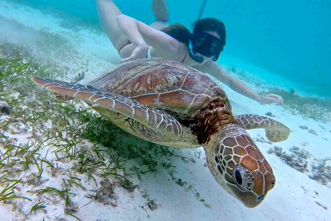 Half-Day at Green Cay Bahamas Snorkeling With Turtles - Inclusions