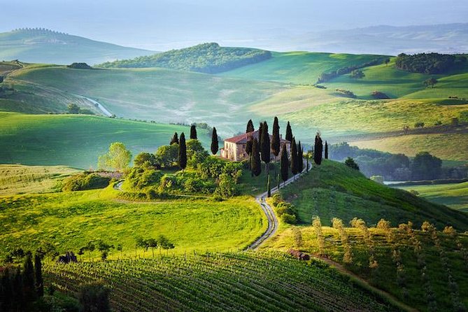 Half Day Chianti Wine Tour With Private Luxury Van - Inclusions and Pricing