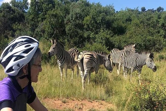 Half Day E-Biking With Wildlife Watching in Pretoria - E-Biking Adventure