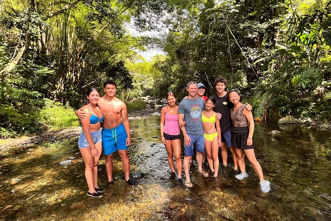 Half-Day El Yunque Waterslide Excursion - Recommended Fitness Level