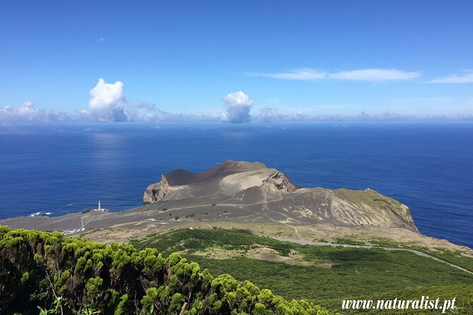 Half Day Faial Island Tour -Local Biologist - Highlights of the Tour