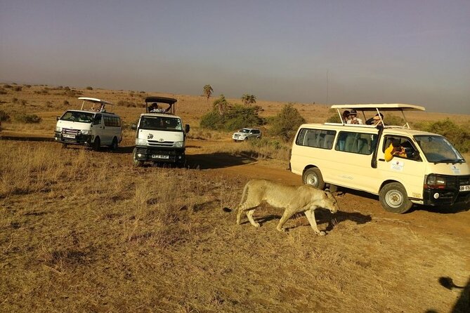 Half Day Guided Tour in Nairobi National Park - Inclusions and Exclusions