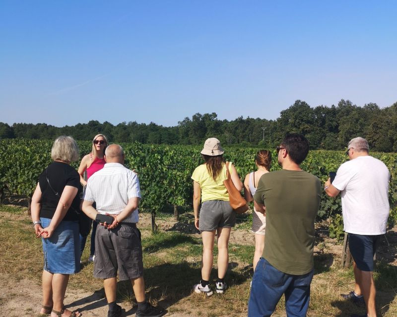 Half-Day in the Médoc From Bordeaux - 2 Wineries and 6 Wines - Meeting at the Cité Du Vin