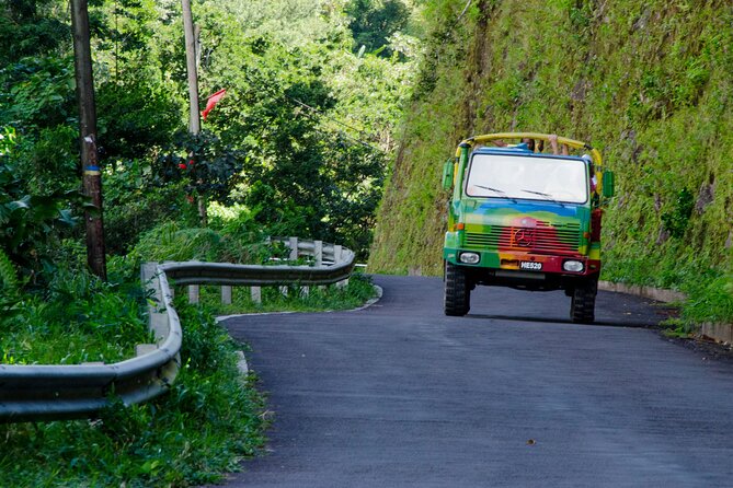 Half Day Jeep Safari - Botanical Gardens and Sulphur Springs