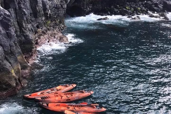 Half Day Kayak Tours - Whats Included