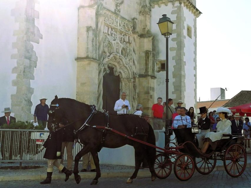 Half-Day Lusitanian Horses & Photography Museum Private Tour - Pickup and Drop-off