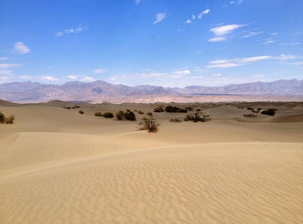 Half-Day Mojave Desert ATV Tour From Las Vegas - Meeting and Pickup Information