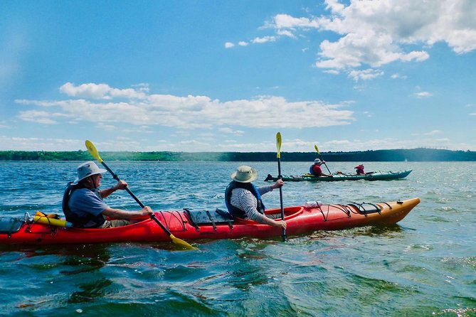 Half-Day Orleans Island Small-Group Sea Kayaking Tour - Included in the Tour