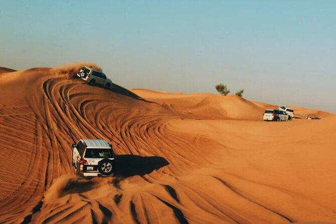 Half-Day Private Morning Desert Safari by 4x4 Car - Inclusions and Exclusions